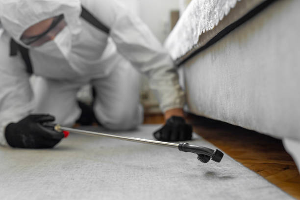 Professional Bed Bug Control technician working in Groveland, ID