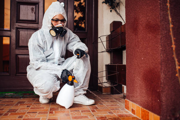 Reliable Bed Bug Control contractor in Groveland, ID by Nex Pest Control
